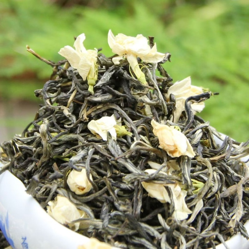 茉莉花茶小白芽