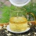 茉莉花茶小白芽