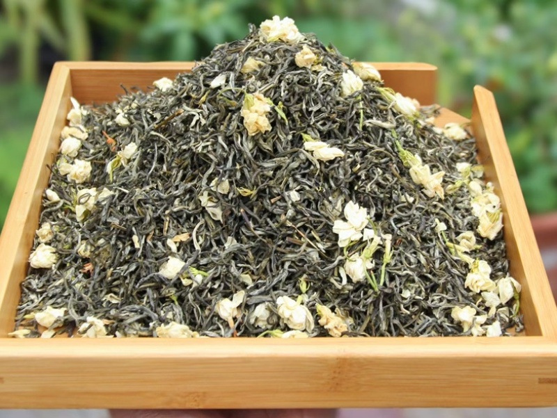 茉莉花茶小白芽