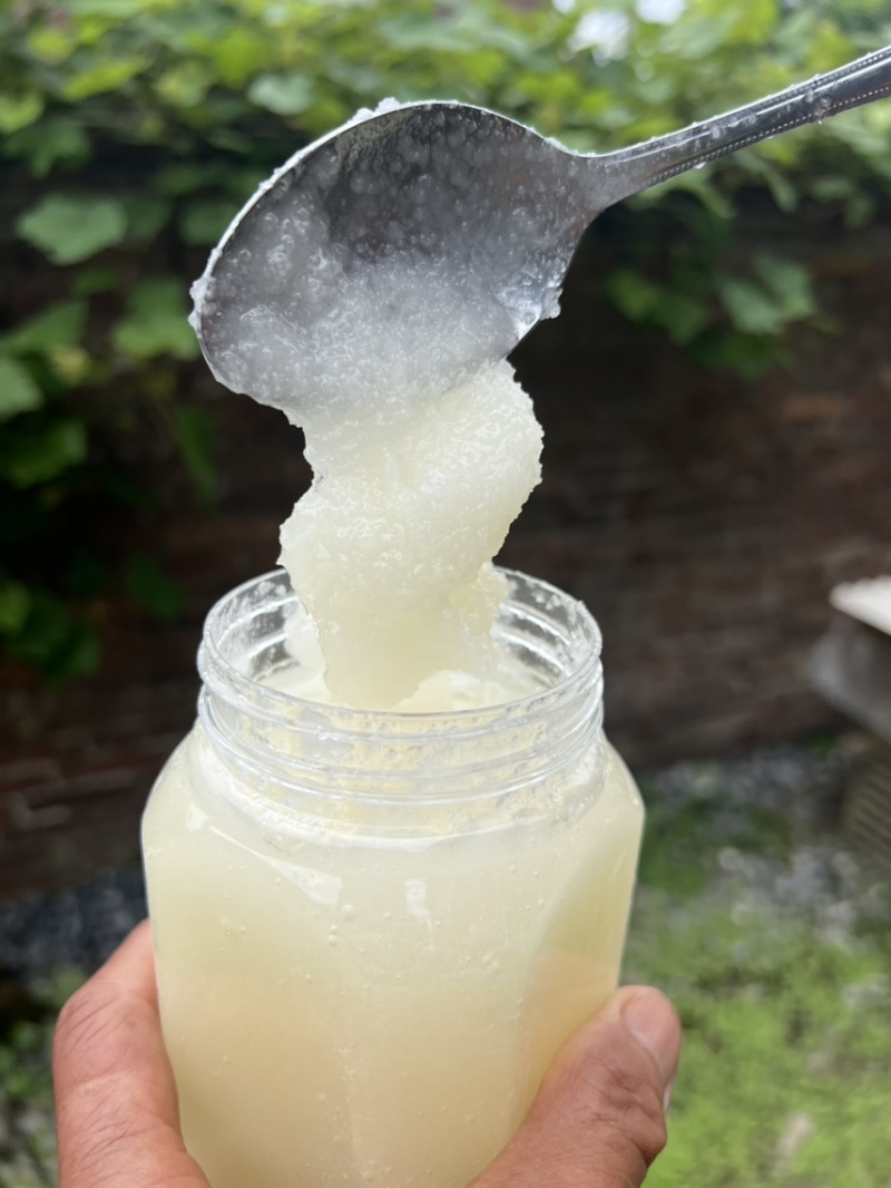 正宗汝南深山野桂花蜜质量保真柔润细腻口感清润香甜花香回甘