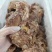 【卤味】卤核桃肉全熟可视频看货可地摊商超餐饮现货供应