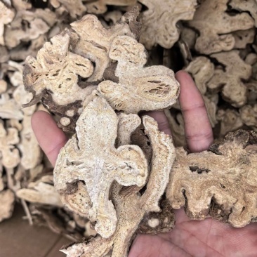 白术选片规格齐全品质保证价格实惠