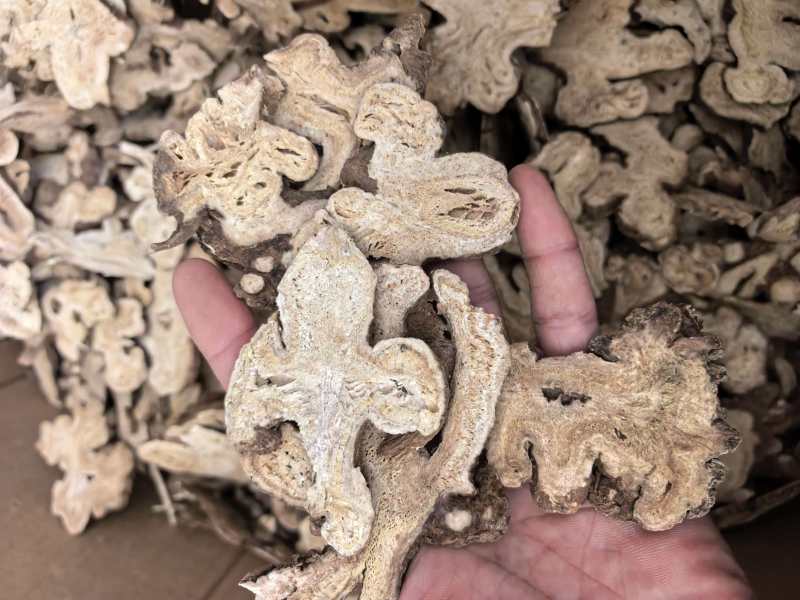 白术选片规格齐全品质保证价格实惠