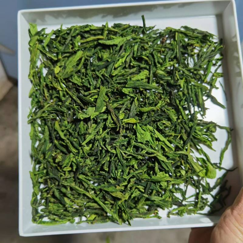六安瓜片