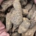 肉苁肉大芸硬大芸个选装个规格齐全品质保证价格实