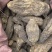 肉苁肉大芸硬大芸个选装个规格齐全品质保证价格实