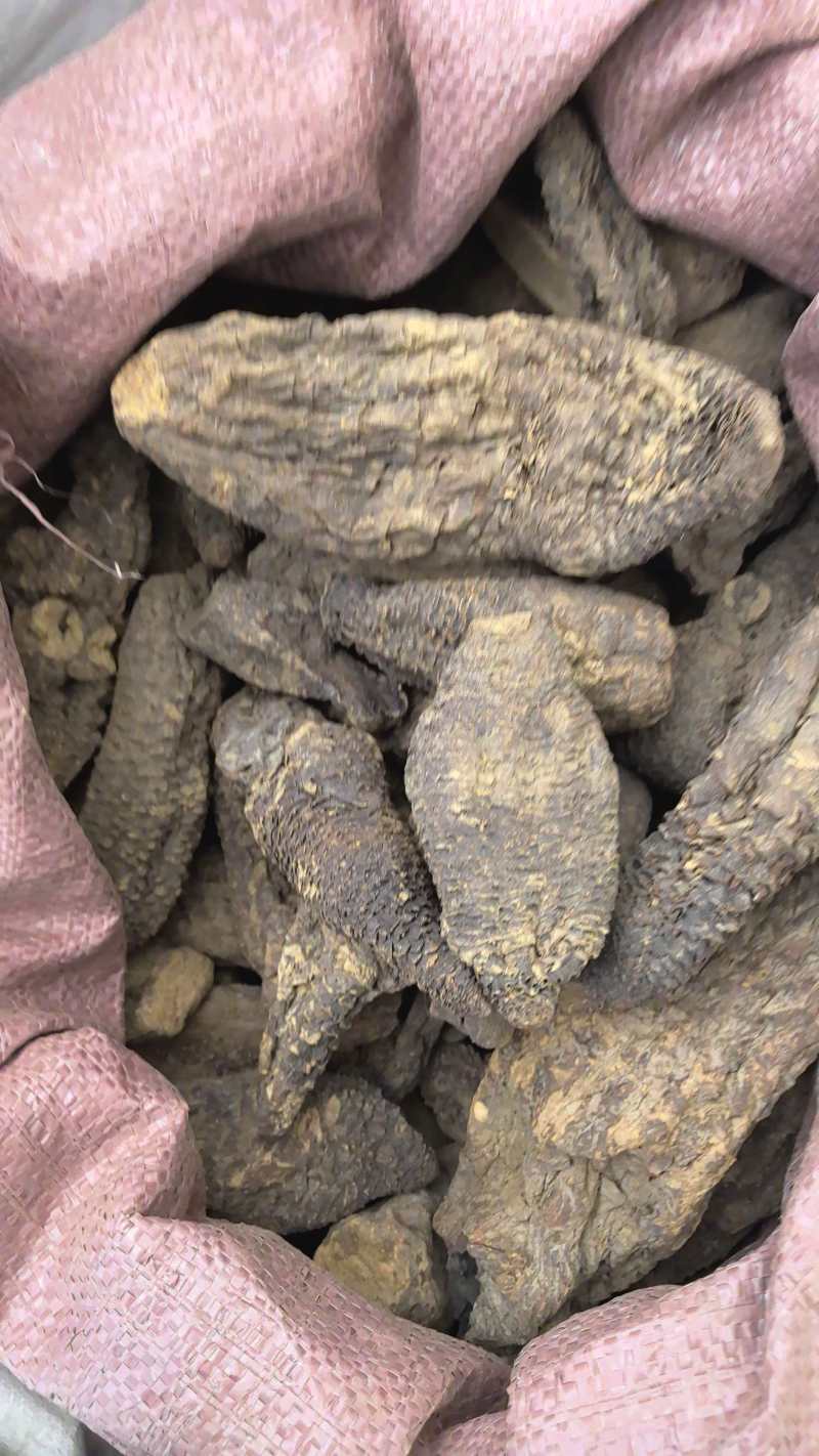 肉苁肉大芸硬大芸个选装个规格齐全品质保证价格实