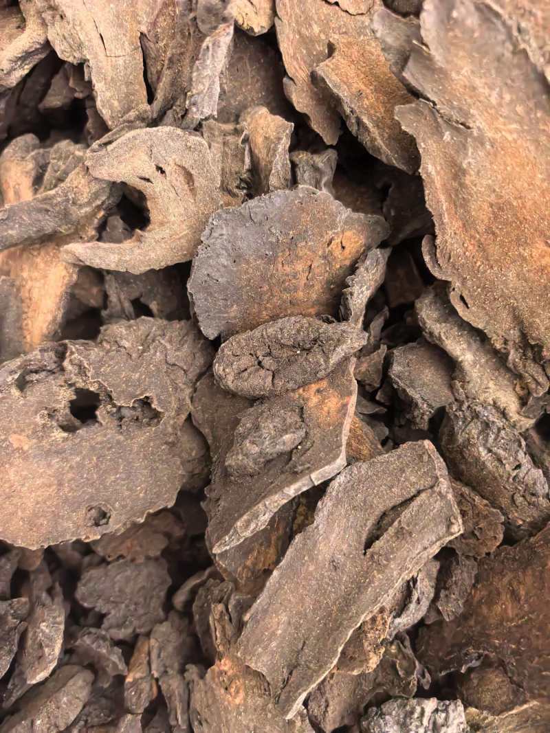 肉苁蓉大芸片硬大片通货规格齐全品质保证价格实惠
