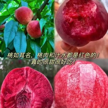 【诚信经营】水蜜桃，血桃支持视频看货，可发往全国市场