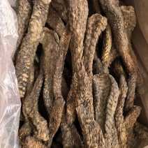 肉苁蓉软肉苁蓉软大芸个选装个品质保证价格实惠