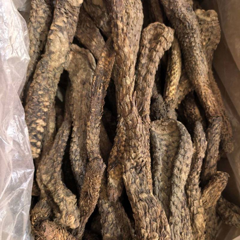 肉苁蓉软肉苁蓉软大芸个选装个品质保证价格实惠