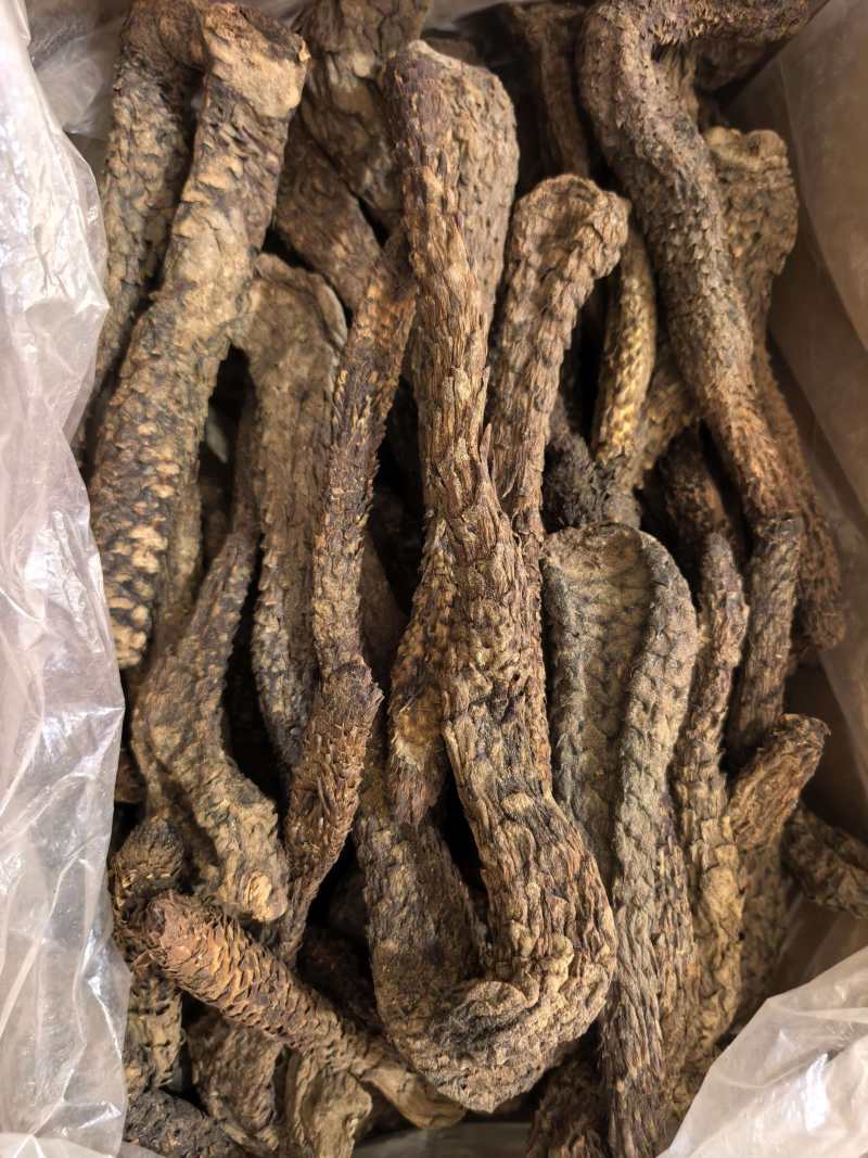 肉苁蓉软肉苁蓉软大芸个选装个品质保证价格实惠