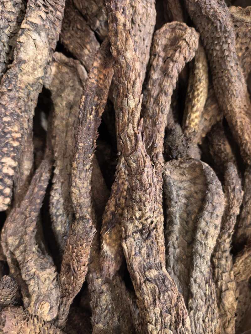肉苁蓉软肉苁蓉软大芸个选装个品质保证价格实惠