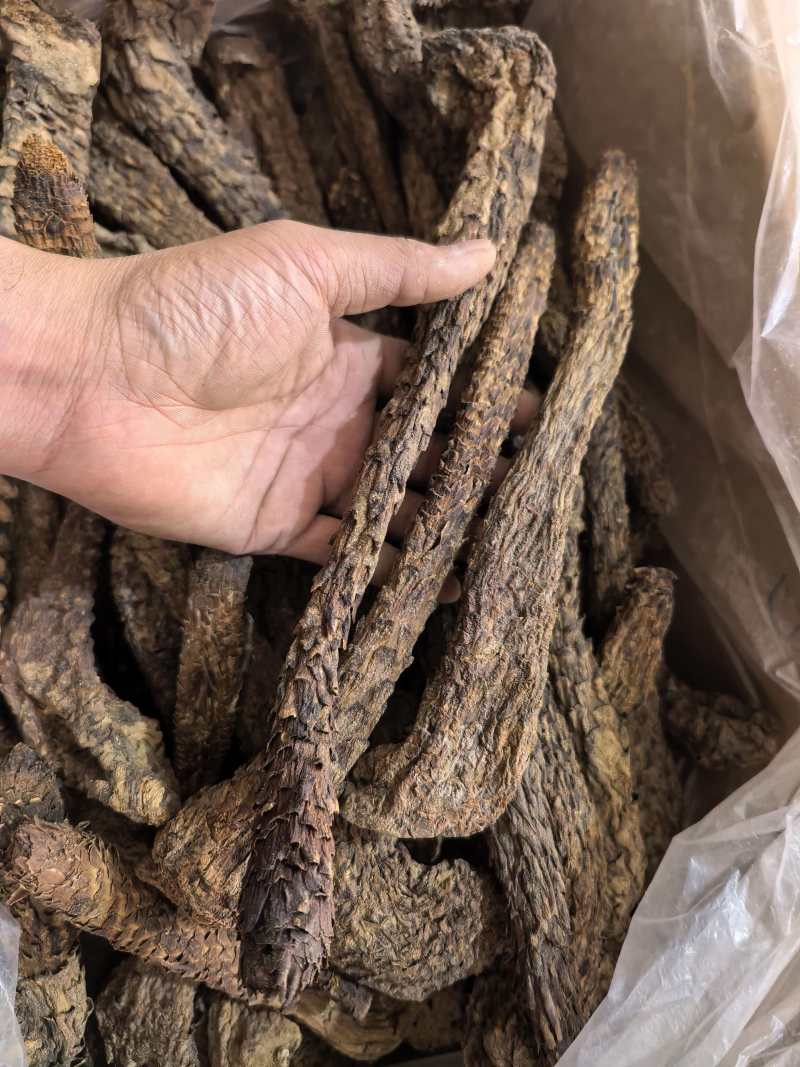 肉苁蓉软肉苁蓉软大芸个选装个品质保证价格实惠