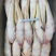 山东威海石岛陆冻尾鱼（牛尾鱼）