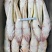 山东威海石岛陆冻尾鱼（牛尾鱼）