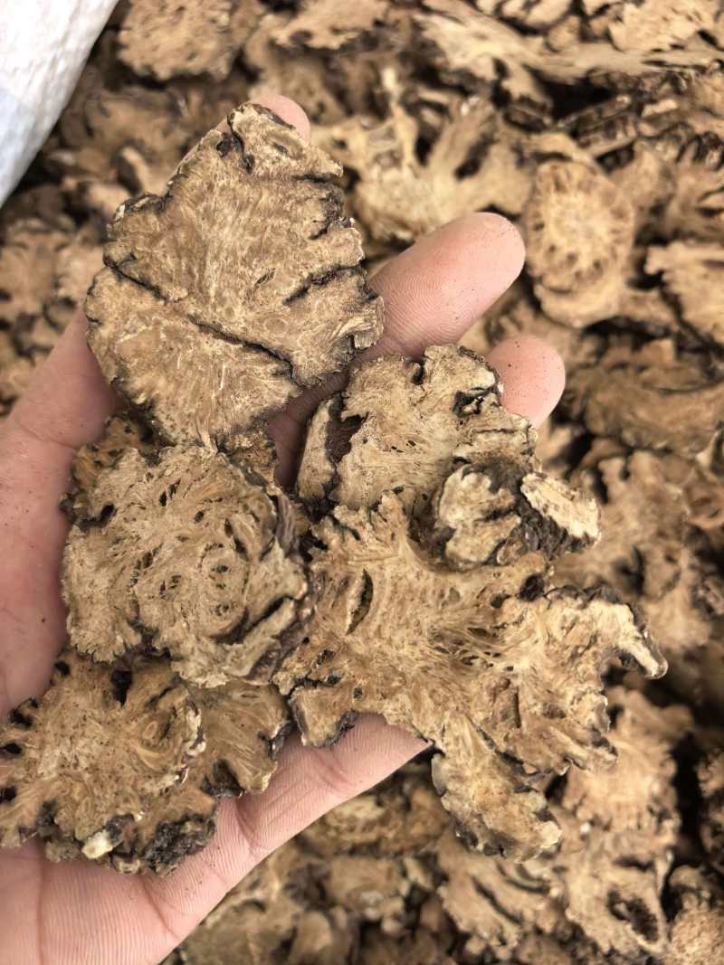 川芎川芎选片规格齐全品质保证价格实惠现货现发