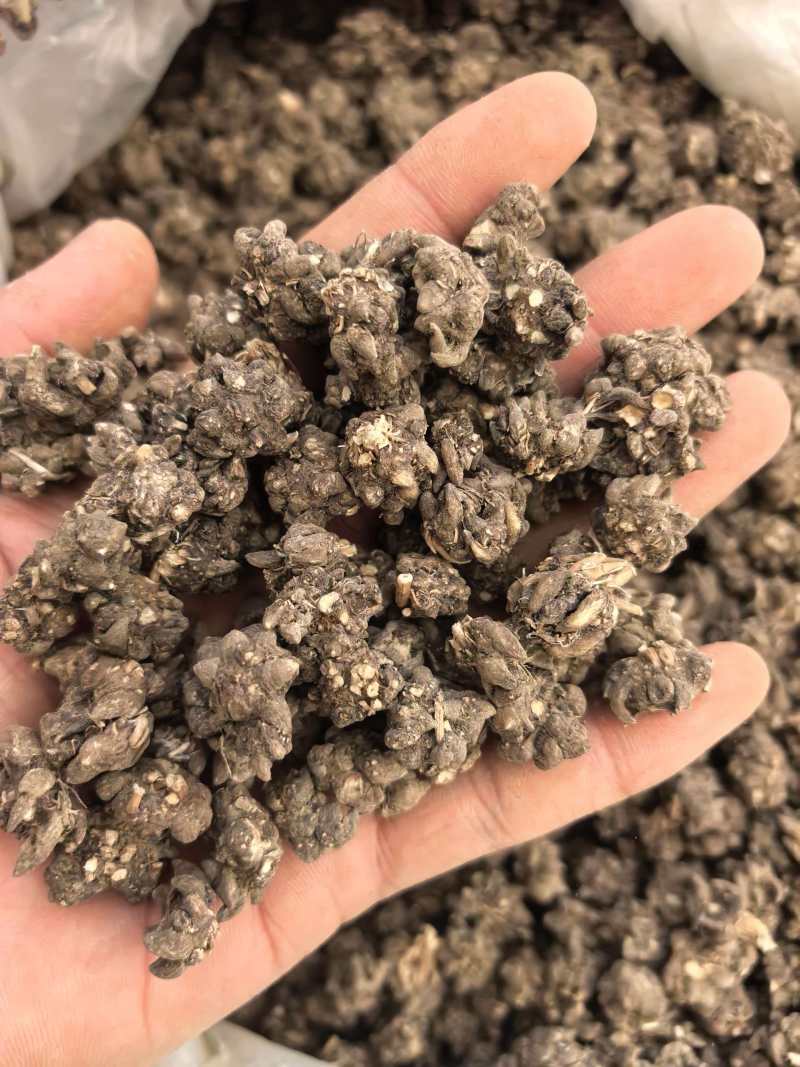 猫爪草水洗两遍规格齐全品质保证价格实惠