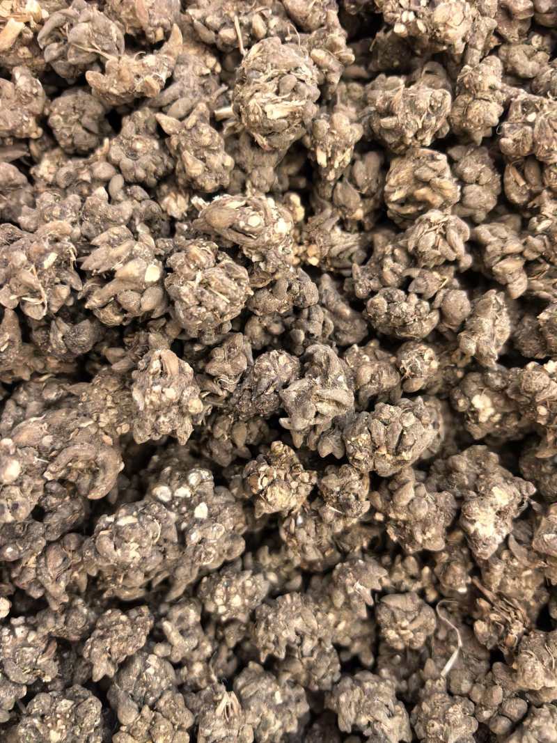 猫爪草水洗两遍规格齐全品质保证价格实惠