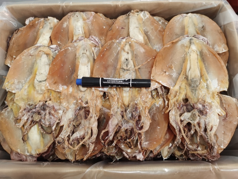 浙江东海墨鱼干约6-7头一斤大号墨鱼干淡晒深海大墨