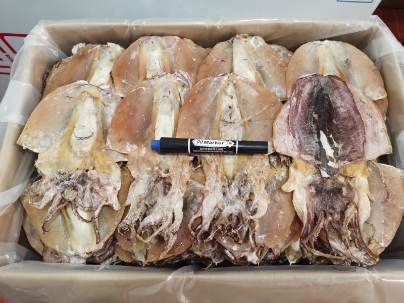 浙江东海墨鱼干约6-7头一斤大号墨鱼干淡晒深海大墨