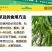 狗爪豆猫豆鲜豆，基地直供（量大从优）保质保量，可视频看货