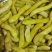 狗爪豆猫豆熟豆（保质保量）大量现货供应，对接批发量大从优