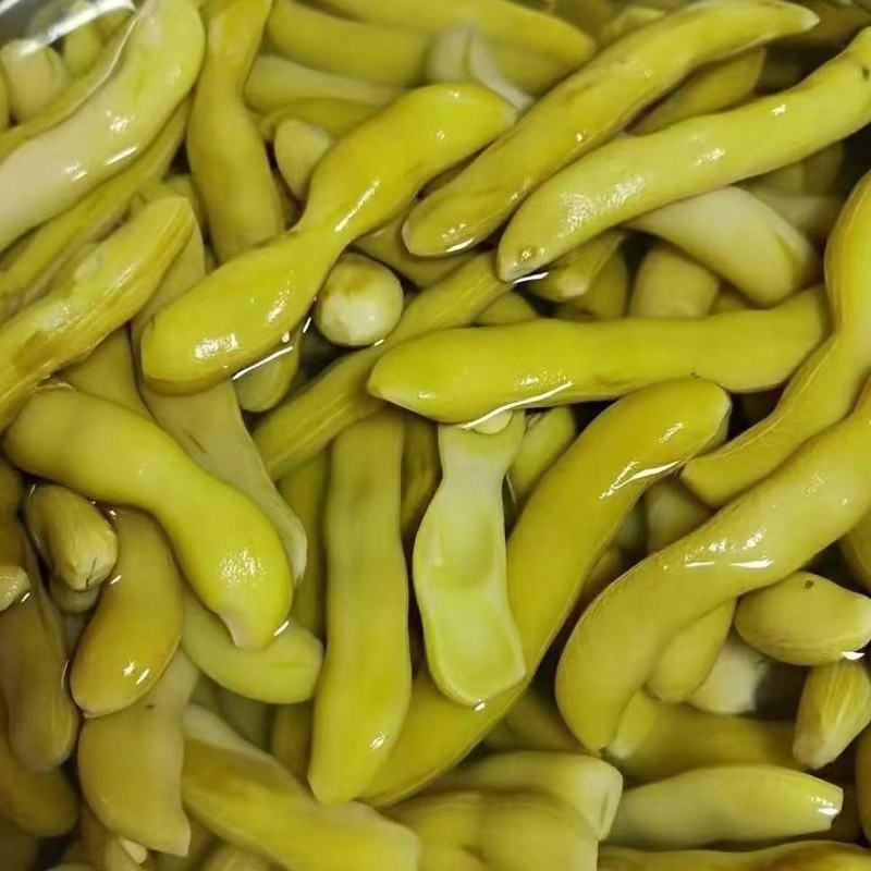 狗爪豆猫豆熟豆（保质保量）大量现货供应，对接批发量大从优