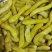 狗爪豆猫豆熟豆（保质保量）大量现货供应，对接批发量大从优