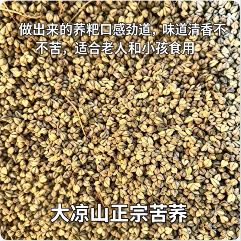 四川凉山正宗苦荞麦价格美丽质量好走货全国欢迎询价热卖