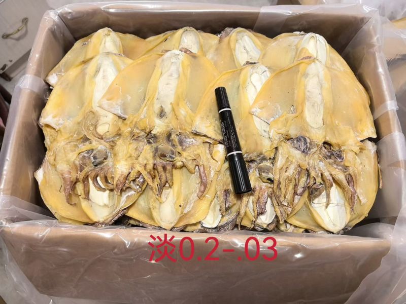 浙江深海大只墨鱼干浙江好货肉质厚实营养滋补
