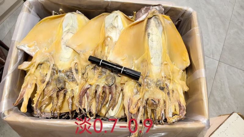 浙江深海大只墨鱼干浙江好货肉质厚实营养滋补