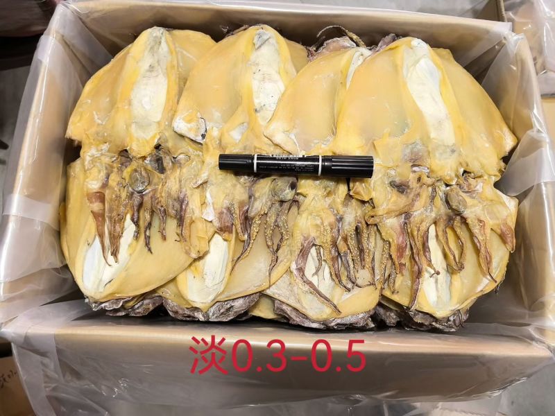 浙江深海大只墨鱼干浙江好货肉质厚实营养滋补