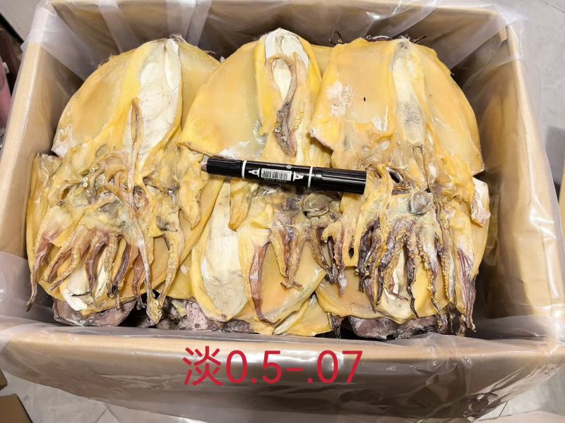 浙江深海大只墨鱼干浙江好货肉质厚实营养滋补