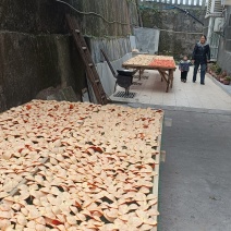 万州陂皮