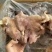 去骨八成熟水煮羊头肉无冰适合爆炒凉拌炖汤羊汤馆支持样