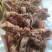 去骨八成熟水煮羊头肉无冰适合爆炒凉拌炖汤羊汤馆支持样