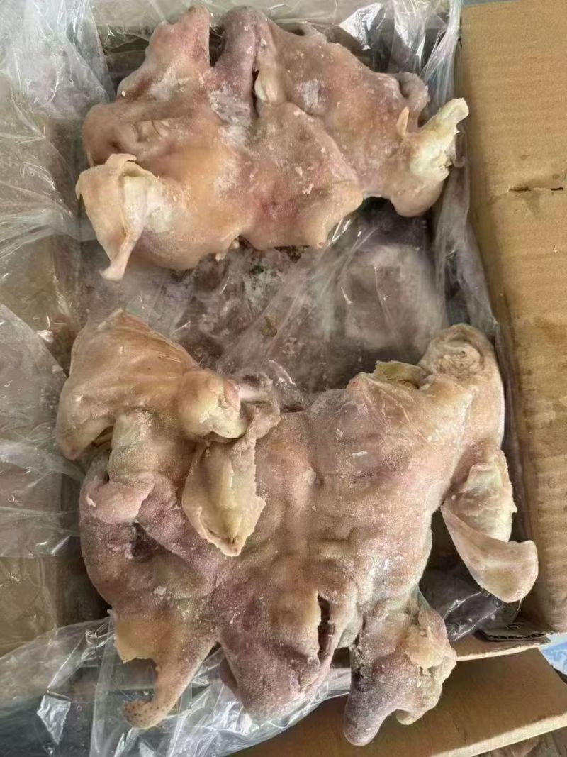 去骨八成熟水煮羊头肉无冰适合爆炒凉拌炖汤羊汤馆支持样