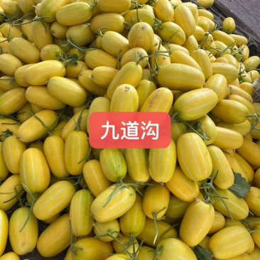 九道沟