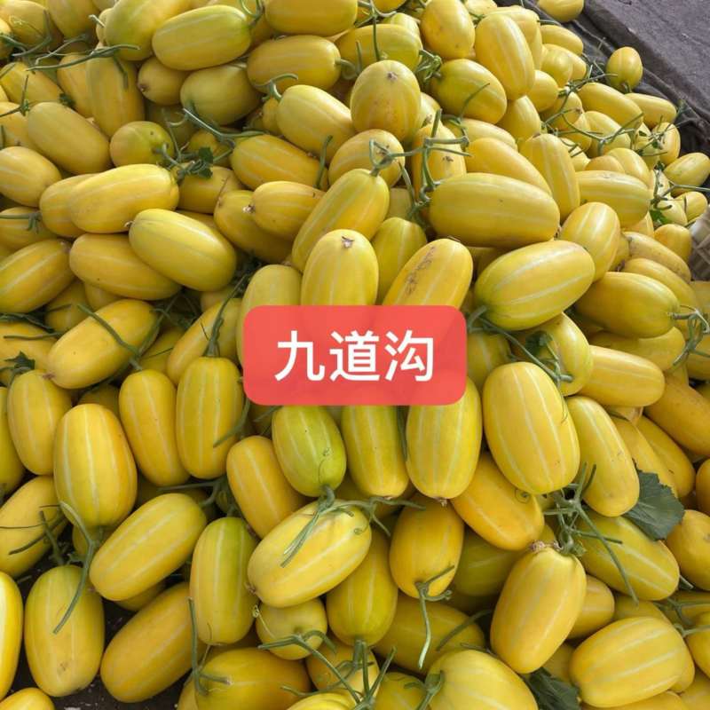 九道沟