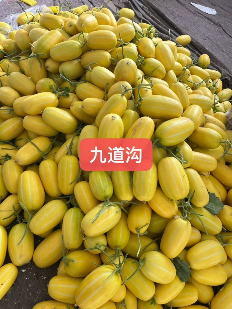 九道沟