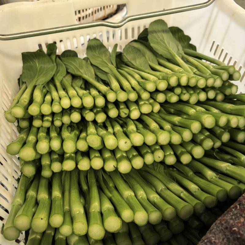 精品菜心大量上市