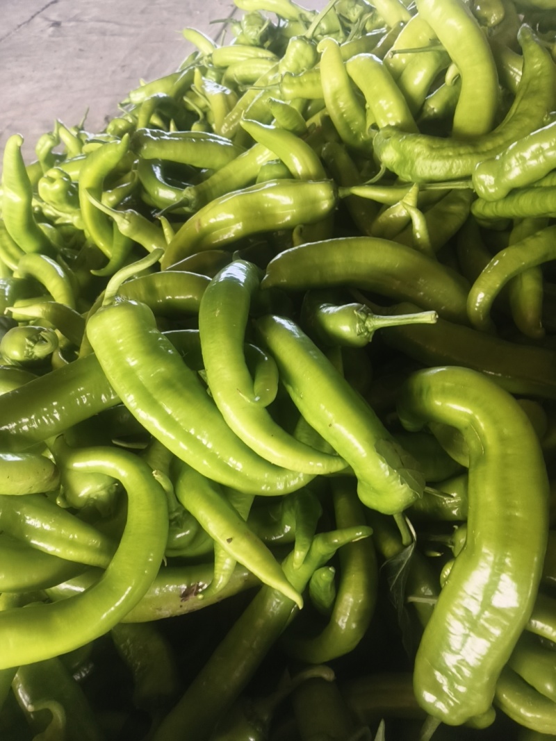 超市，电商，食堂，赶集货，大量供应