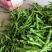 超市，电商，食堂，赶集货，大量供应