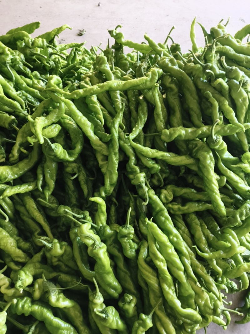 超市，电商，食堂，赶集货，大量供应
