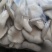 平菇/鲜平菇大量供应品质优可视频看货欢迎咨询来电