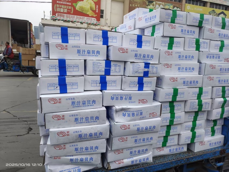 【精品】整箱扇贝肉去箱子10斤，规格齐全货源充足质量保证