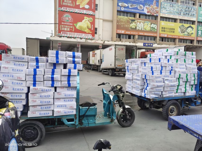 【精品】整箱扇贝肉去箱子10斤，规格齐全货源充足质量保证