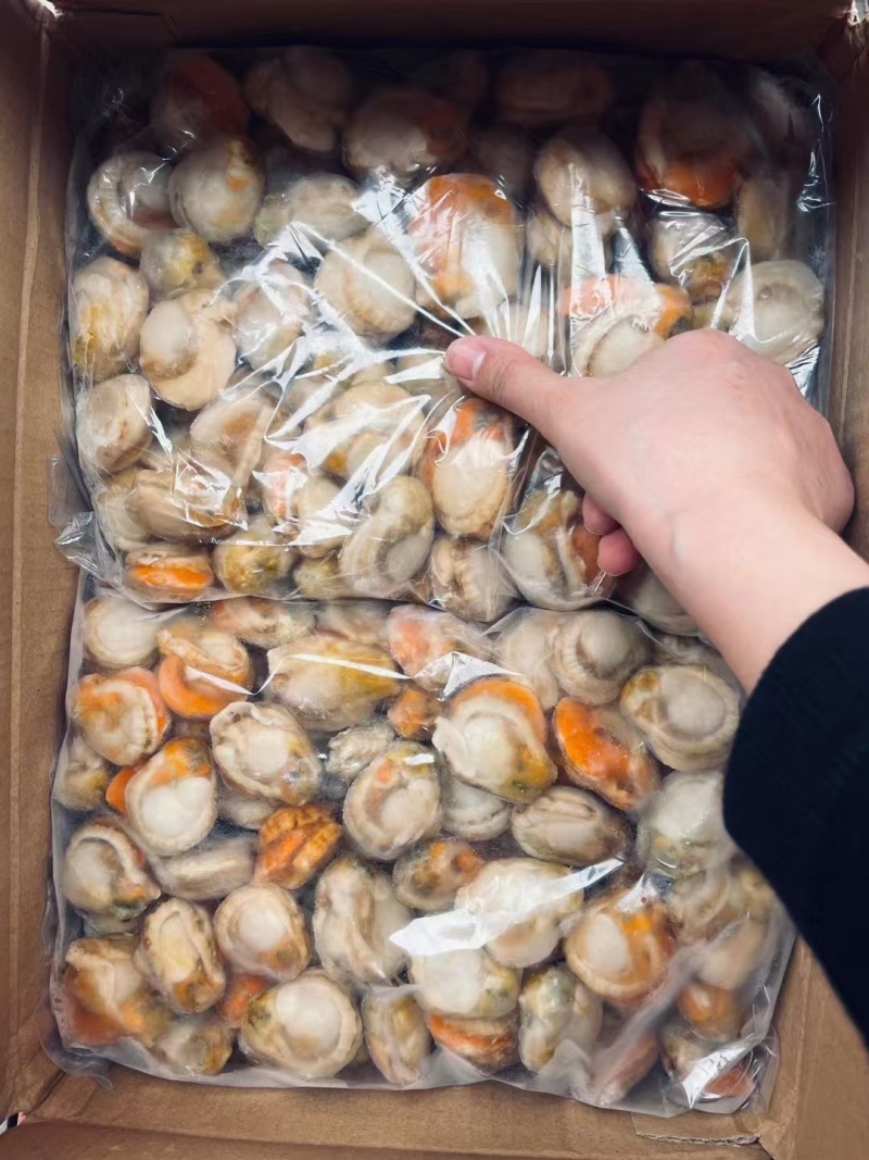 【精品】整箱扇贝肉去箱子10斤，规格齐全货源充足质量保证