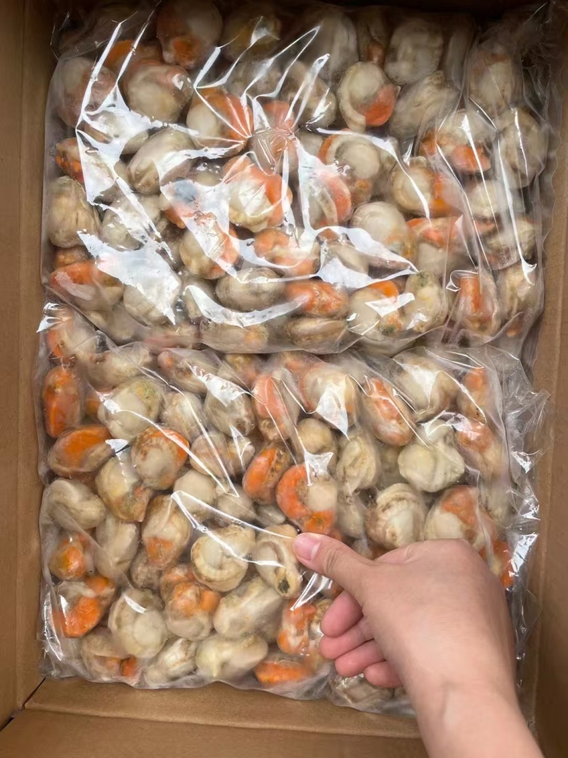 【精品】整箱扇贝肉去箱子10斤，规格齐全货源充足质量保证